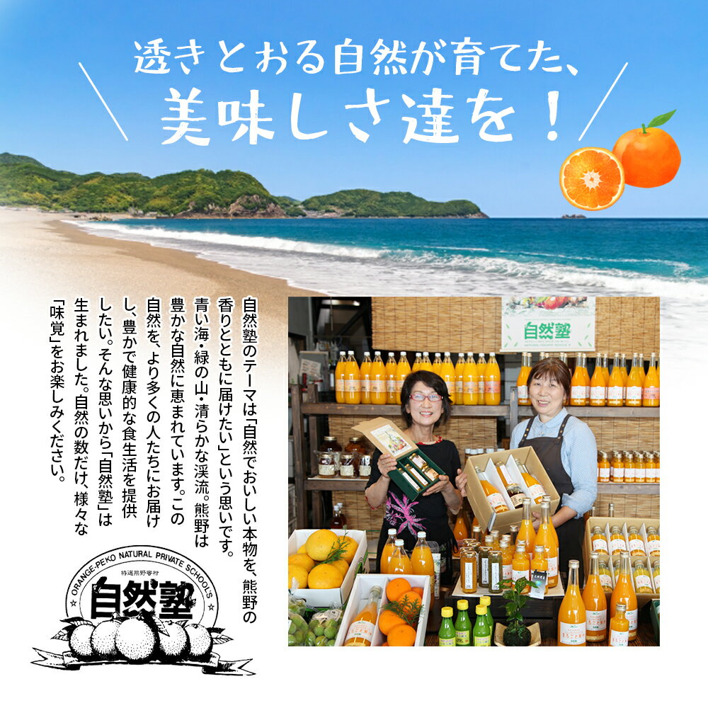 【ふるさと納税】 みかん 熟成 温州みかん 約4.5kg 自然塾 みかん ミカン 温州みかん フルーツ 果物 くだもの 柑橘 甘い 濃厚 産地直送 数量限定 人気 国産 三重県 熊野市 サムネイル2