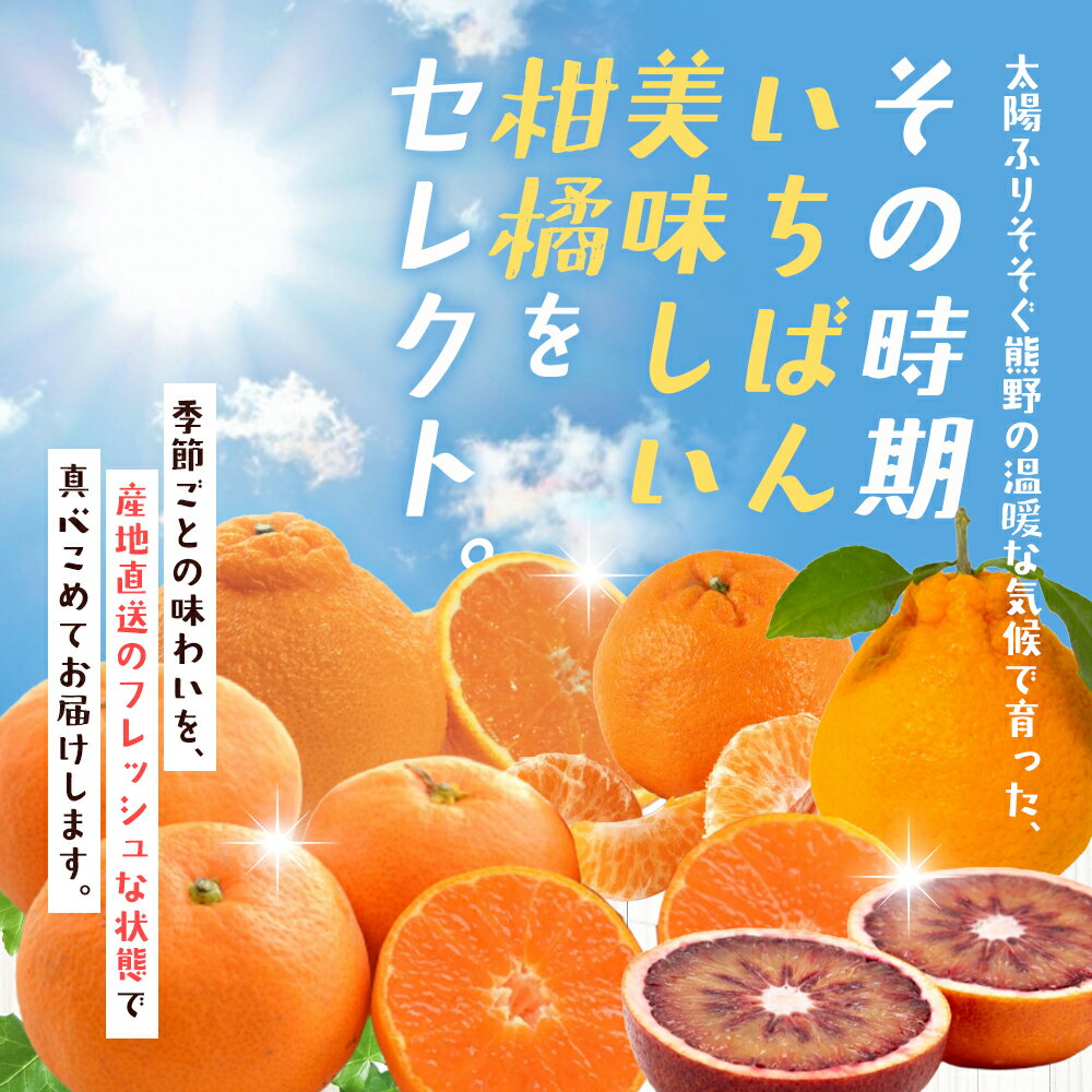【ふるさと納税】 みかん 定期便 3回 5回 季節の柑橘詰合せ みかん ミカン 温州みかん フルーツ 果物 くだもの 柑橘 不知火 せとか 果物定期便 フルーツ定期便 果物セット フルーツセット 甘い 濃厚 産地直送 数量限定 人気 国産 三重県 熊野市 送料無料 サムネイル2