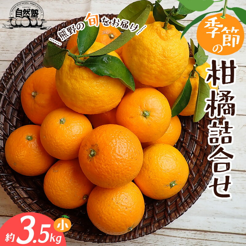 みかん 季節の柑橘 詰合せ 約3.5kg みかん ミカン 温州みかん フルーツ 果物 くだもの 柑橘 不知火 せとか 果物セット フルーツセット 甘い 濃厚 産地直送 数量限定 人気 国産 三重県 熊野市 送料無料