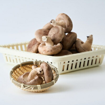 【ふるさと納税】贈答品用椎茸かご盛りセット【配送不可地域：離島】【1201244】 - 画像3