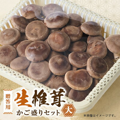 贈答品用椎茸かご盛りセット(大)【配送不可地域：離島】【1201271】