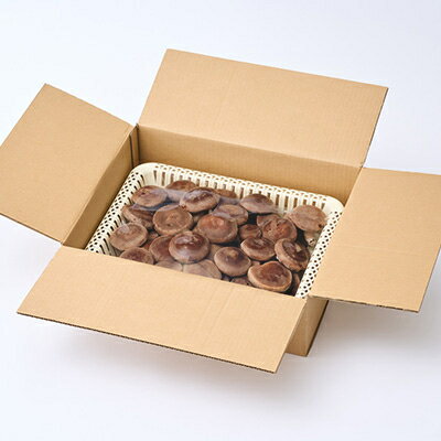 【ふるさと納税】贈答品用椎茸かご盛りセット(大)【配送不可地域：離島】【1201271】 - 画像2