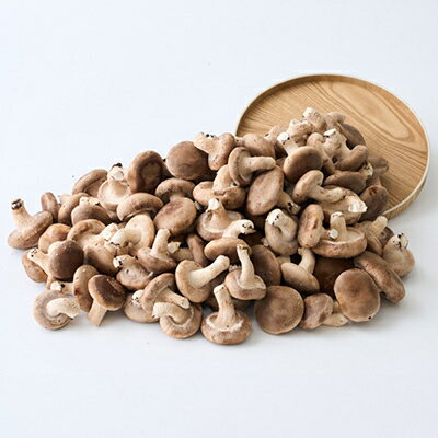 【ふるさと納税】椎茸大量てんこ盛りセット【配送不可地域：離島】【1201273】 - 画像3