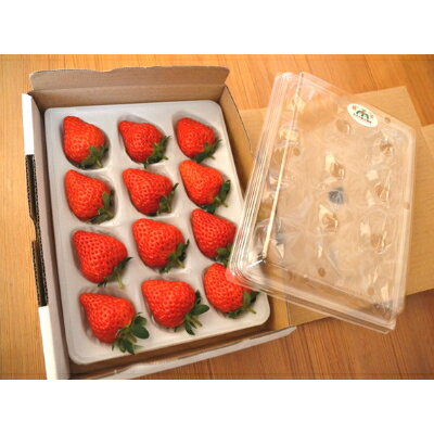 【ふるさと納税】多湖農園のデカうまっ苺「紅ほっぺ」化粧箱入り 500g　【配送不可地域：離島・北海道・沖縄県】【1211076】 サムネイル2