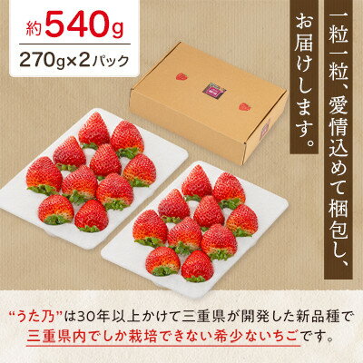 【ふるさと納税】【イオンいなべ農場からお届け!】いちご「うた乃」約270g×2パック【配送不可地域：離島】【1670978】 サムネイル2