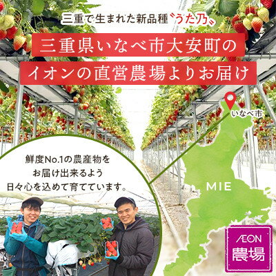 【ふるさと納税】【イオンいなべ農場からお届け!】いちご「うた乃」約270g×2パック【配送不可地域：離島】【1670978】 サムネイル3