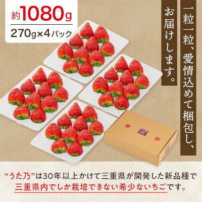 【ふるさと納税】【イオンいなべ農場からお届け!】いちご「うた乃」約270g×4パック【配送不可地域：離島】【1670981】 サムネイル2