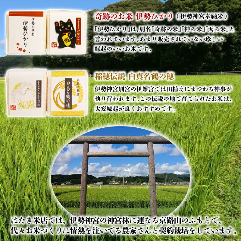 【ふるさと納税】 奇跡のお米 伊勢ひかり・穂落伝説 白真名鶴の穂 キューブ米セット / お米 白米 精米 米 おすすめ 贈り物 贈答 プレゼント ギフト お祝 お中元 お歳暮 国産 三重県 志摩市 伊勢 志摩 老舗 伊勢神宮 奉納米 伊勢志摩産 - 画像2