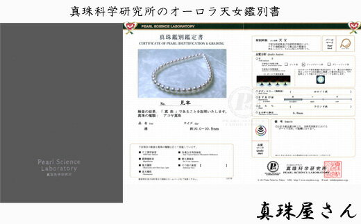 【ふるさと納税】 真珠屋さん オーロラ天女 花珠アコヤ真珠ネックレス セット 10～10.5ミリ【真珠科学研究所鑑別書付】パール / 真珠 アコヤ アクセサリー ジュエリー ネックレス ピアス イヤリング セット パール Pt900 K14WG 伊勢志摩 伊勢 鳥羽 志摩 志摩市 贈り物 サムネイル3