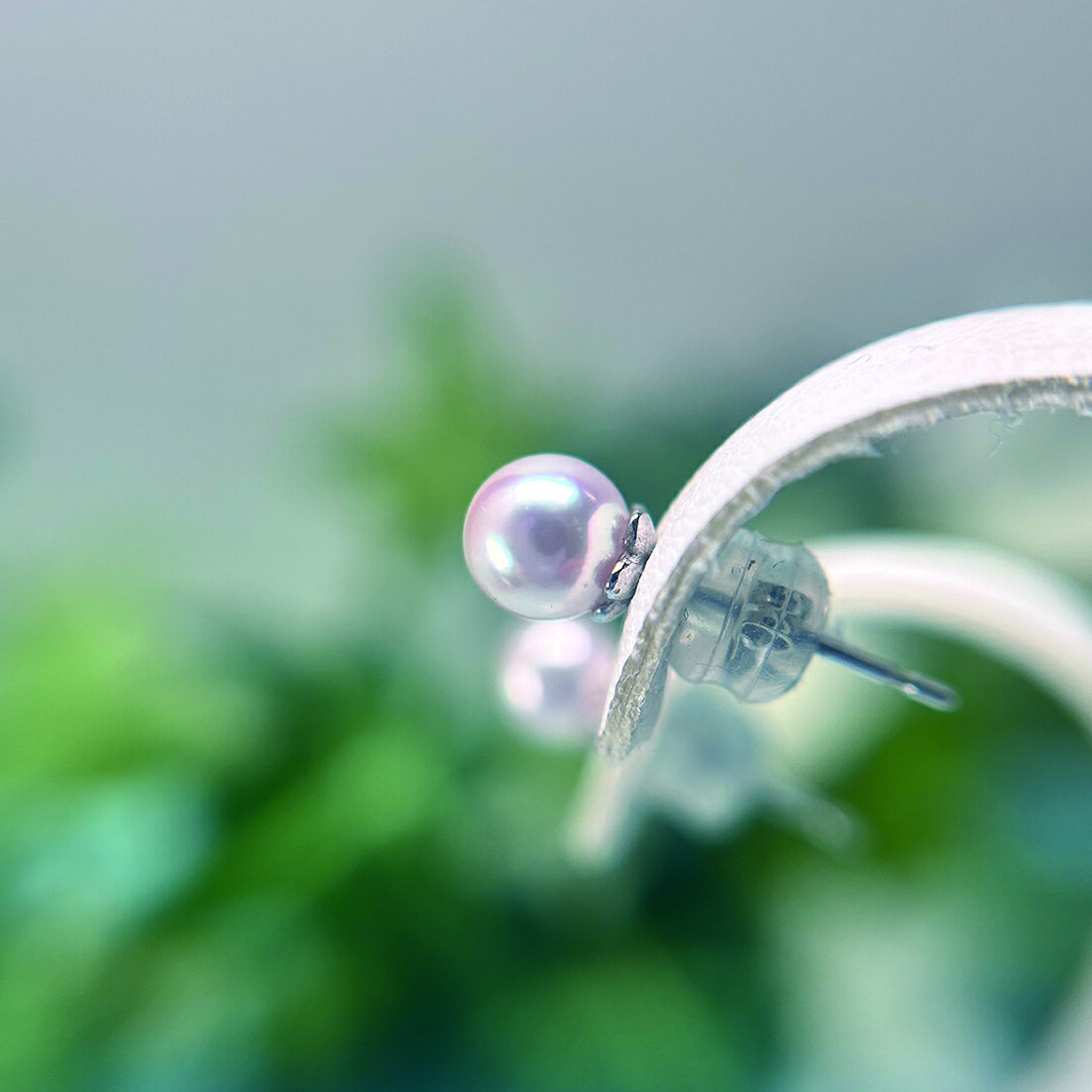 【ふるさと納税】 真珠 ピアス アクセサリー プラチナ パール 5ミリ ～ 5.5ミリ アコヤ真珠 伊勢 志摩 伊勢志摩 冠婚葬祭 結婚式 入学式 卒業式 ギフト プレゼント レディース カジュアル 誕生石 記念日 / akoya ピアス 花もよい サムネイル2