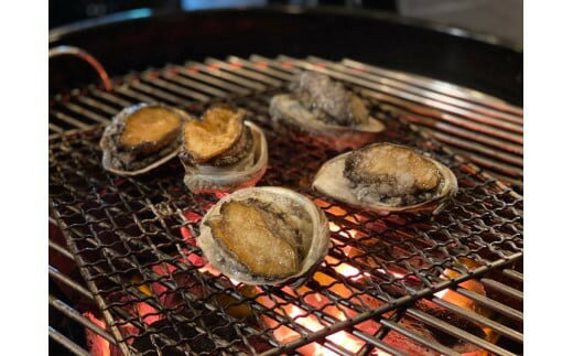 【ふるさと納税】 BBQ 利用券 1名様分 カブクリゾート 伊勢志摩 グランピング キャンプ アウトドア バーベキュー チケット 利用券 旅行券 旅行 日帰り グループ 団体 家族 友人 カップル 体験 宿泊 観光 伊勢 志摩 三重 近畿 東海 サウナ 食べる 泊まる 御食つ国スペシャル サムネイル2