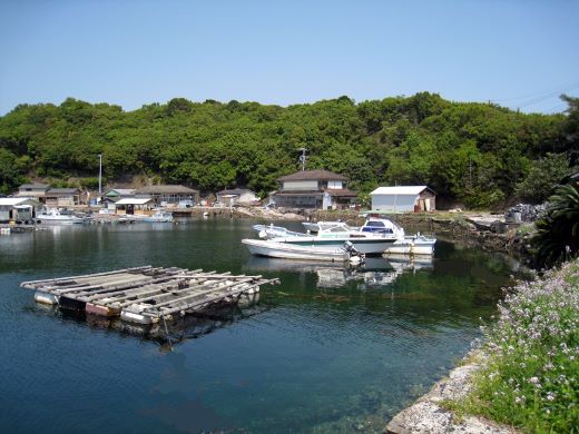 【ふるさと納税】 真珠 イヤリング アクセサリー パール シルバー 三重県 伊勢志摩 志摩市 プレゼント クリスマス バレンタイン ホワイトデー カジュアル レディース 60000円 6万円 六万円 / 真珠の里 アコヤ真珠 6mm ぶら下がりクリップ式 イヤリング SILVER製 サムネイル3