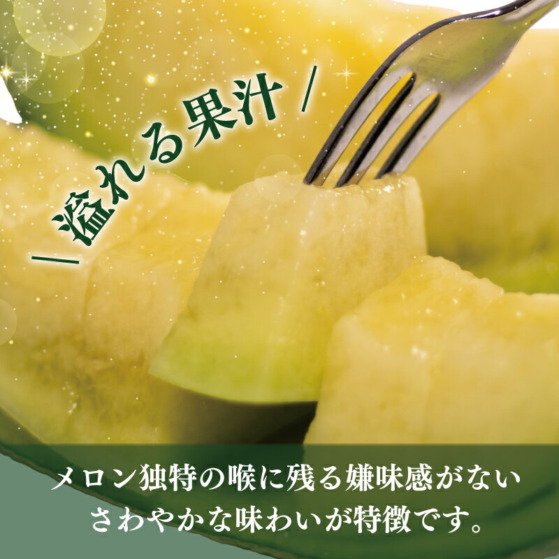 【ふるさと納税】 メロン 1玉 1.3kg 以上 数量限定 選べる 配送月 南張メロン フルーツ 果物 スイーツ 青肉 贅沢 ギフト 贈答用 プレゼント 取り寄せ 果汁 国産 産地直送 特産品 高級 高級メロン 三重県 伊勢 志摩 志摩市 今が旬 サムネイル3