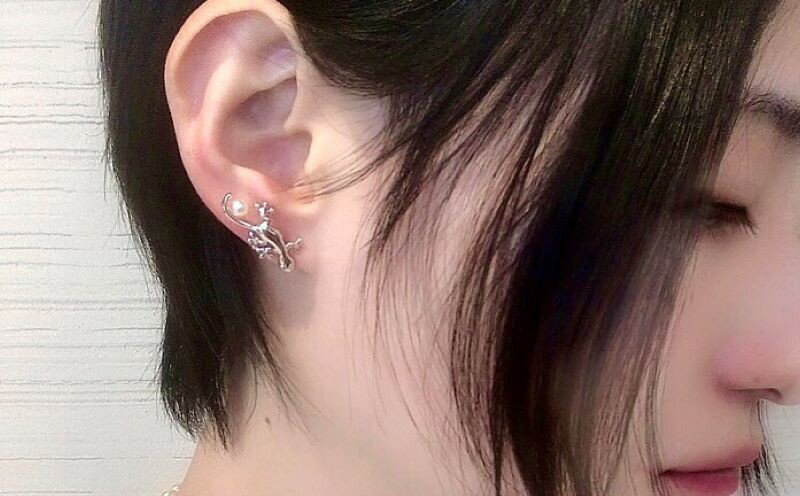 【ふるさと納税】 真珠 ピアス アクセサリー 4mm シルバー パール 男女兼用 ユニセックス あこや あこや真珠 アコヤ真珠 普段使い カジュアル おしゃれ アコヤ貝 伊勢志摩 伊勢 志摩 開運 幸運 金運 人気 おすすめ / ヤモリ 「家守」 ピアス サムネイル3