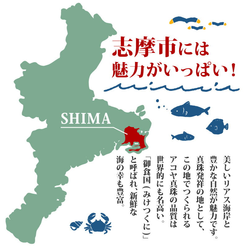 【ふるさと納税】 令和7年産 コシヒカリ 選べる 5kg or 10kg 特別栽培米 「珠光」 ブランド米 国産 新米 米 白米 精米 コシヒカリ お米 ご飯 朝食 昼食 夕食 伊勢 志摩 三重県 10000円 以上 1万円 以上 - 画像3