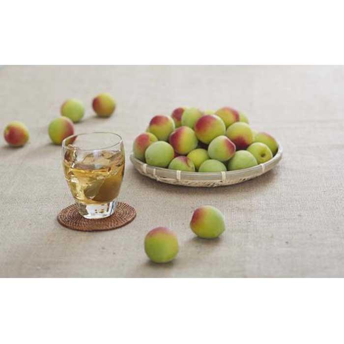 【ふるさと納税】チョーヤ　TheCHOYA熟成一年本格梅酒ソーダ缶 350ml×24本 サムネイル2