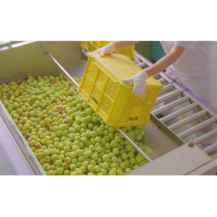 【ふるさと納税】チョーヤ　TheCHOYA熟成一年本格梅酒ソーダ缶 350ml×24本 サムネイル3