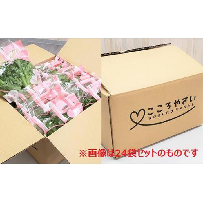 【ふるさと納税】アノレタス（リーフレタス）新鮮シャキシャキ 栽培期間中無農薬低カリウムレタス 12袋×3ヶ月連続お届けセット - 画像2