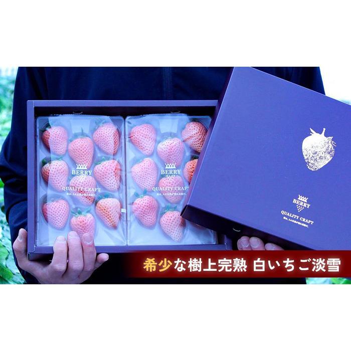 【ふるさと納税】【完熟クラフト苺BERRY】濃厚な樹上完熟イチゴ 1品種ずつ3回届くセット（白いちご＋赤いちご2品種）各約500g【出荷2025年12月上旬～2026年5月下旬】化粧箱入り | 食品 加工食品 人気 おすすめ 送料無料 サムネイル2