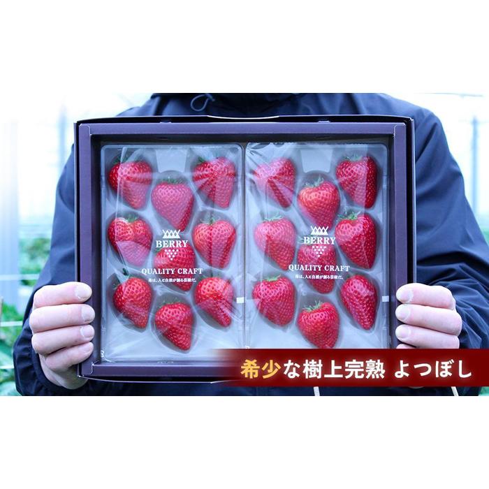 【ふるさと納税】【完熟クラフト苺BERRY】濃厚な樹上完熟イチゴ 1品種ずつ3回届くセット（白いちご＋赤いちご2品種）各約500g【出荷2025年12月上旬～2026年5月下旬】化粧箱入り | 食品 加工食品 人気 おすすめ 送料無料 サムネイル3