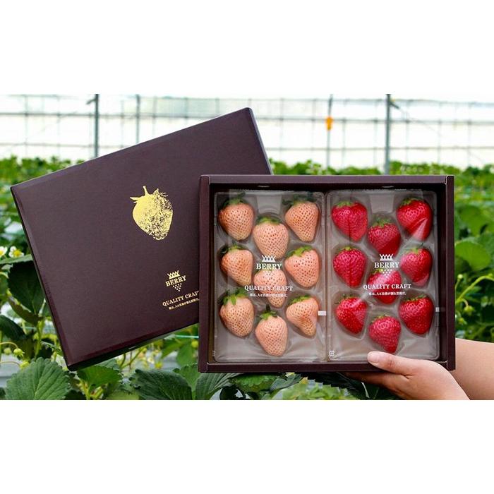 【ふるさと納税】【完熟クラフト苺BERRY】有名シェフ御用達【紅白いちご】樹上完熟よつぼし・淡雪 約500g（出荷2025年12月上旬～2026年5月下旬） | 食品 加工食品 人気 おすすめ 送料無料 サムネイル2