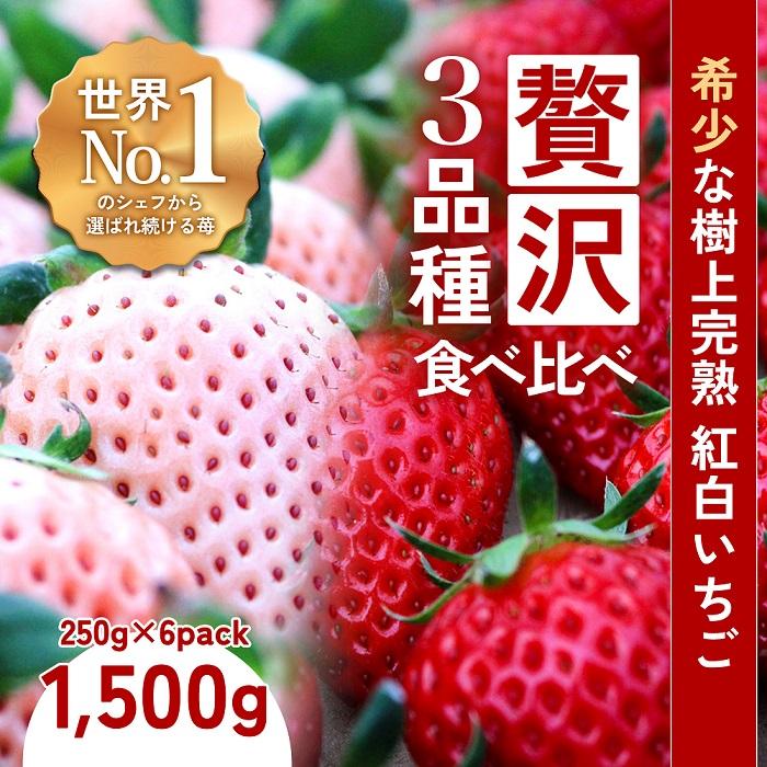 【完熟クラフト苺BERRY】濃厚な樹上完熟イチゴ 1品種ずつ3回届くセット（白いちご＋赤いちご2品種）各約500g【出荷2025年12月上旬～2026年5月下旬】化粧箱入り | 食品 加工食品 人気 おすすめ 送料無料