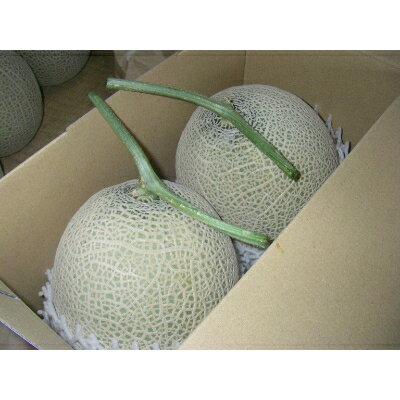 【ふるさと納税】木曽岬産マスクメロン　2玉(1玉1.5kg以上)　令和8年7月9日から発送【1259091】 サムネイル3