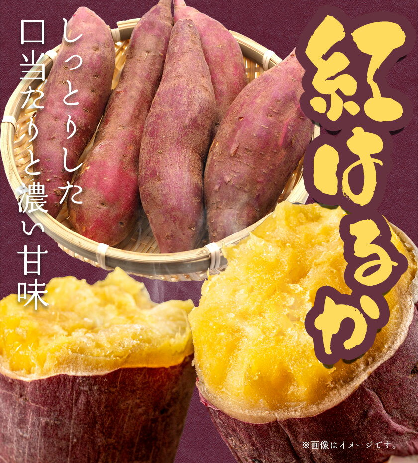 【ふるさと納税】さつまいも 紅はるか 選べる 約2kg 約5kg 約10kg 株式会社シグマサポート《2026年10月中旬‐12月中旬頃に出荷予定(土日祝除く)》送料無料 サツマイモ 三重県 東員町 お菓子 おやつ 紅はるか やきいも さつまいも 手軽 - 画像3