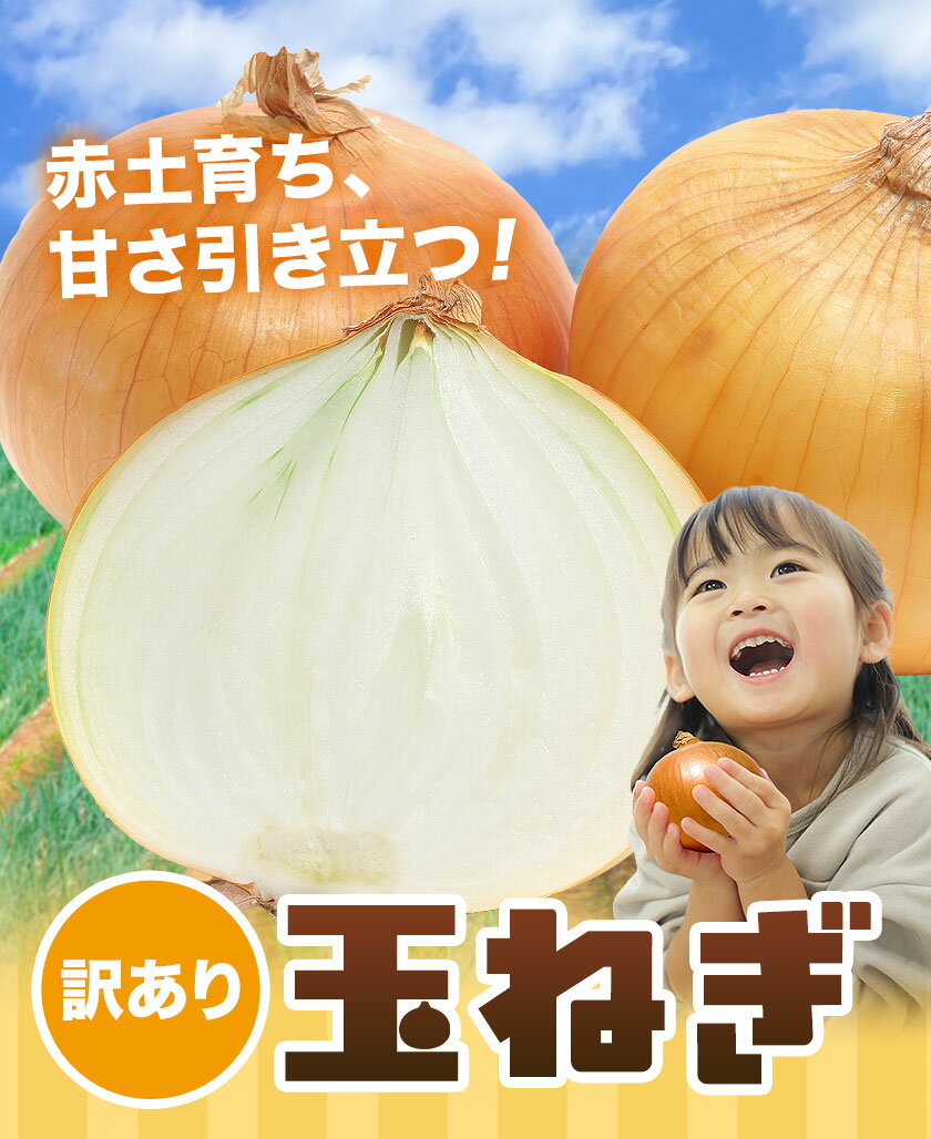 【ふるさと納税】料理に使いやすい！産地直送訳あり 玉ねぎ 選べる 約 2kg 5kg 10kg 株式会社シグマサポート《2026年4月下旬-6月上旬頃出荷》三重県 東員町 玉ねぎ 玉葱 タマネギ たまねぎ 野菜 甘い 送料無料 - 画像3