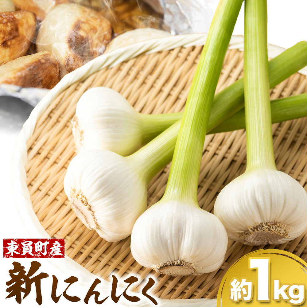 旬の香り！ みずみずしい新にんにく 約1kg 東員町産 《2026年6月上旬‐6月下旬頃に出荷予定(土日祝除く)》三重県 東員町 にんにく ニンニク 大蒜 薬味 送料無料 生にんにく 香味野菜 薬味 野菜 国産