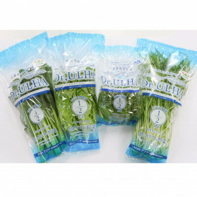 【ふるさと納税】カリウムが気になる方へ!生で食べられます!低カリウム野菜「Dr,ULHA」おすすめ5袋セット【配送不可地域：離島】【1314804】 - 画像2