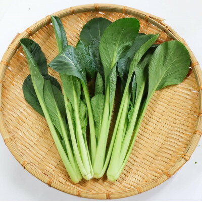 【ふるさと納税】カリウムが気になる方へ!生で食べられます!低カリウム野菜「Dr,ULHA」おすすめ5袋セット【配送不可地域：離島】【1314804】 - 画像3