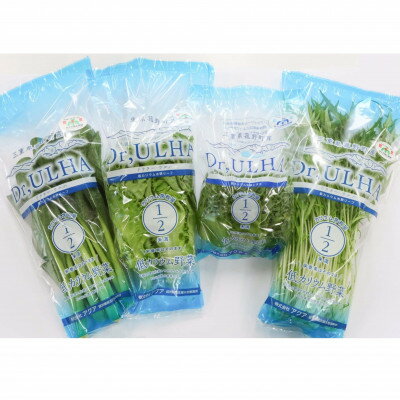 【ふるさと納税】カリウムが気になる方へ!生で食べられます!低カリウム野菜「Dr,ULHA」おすすめ10袋セット【配送不可地域：離島】【1314826】 - 画像2