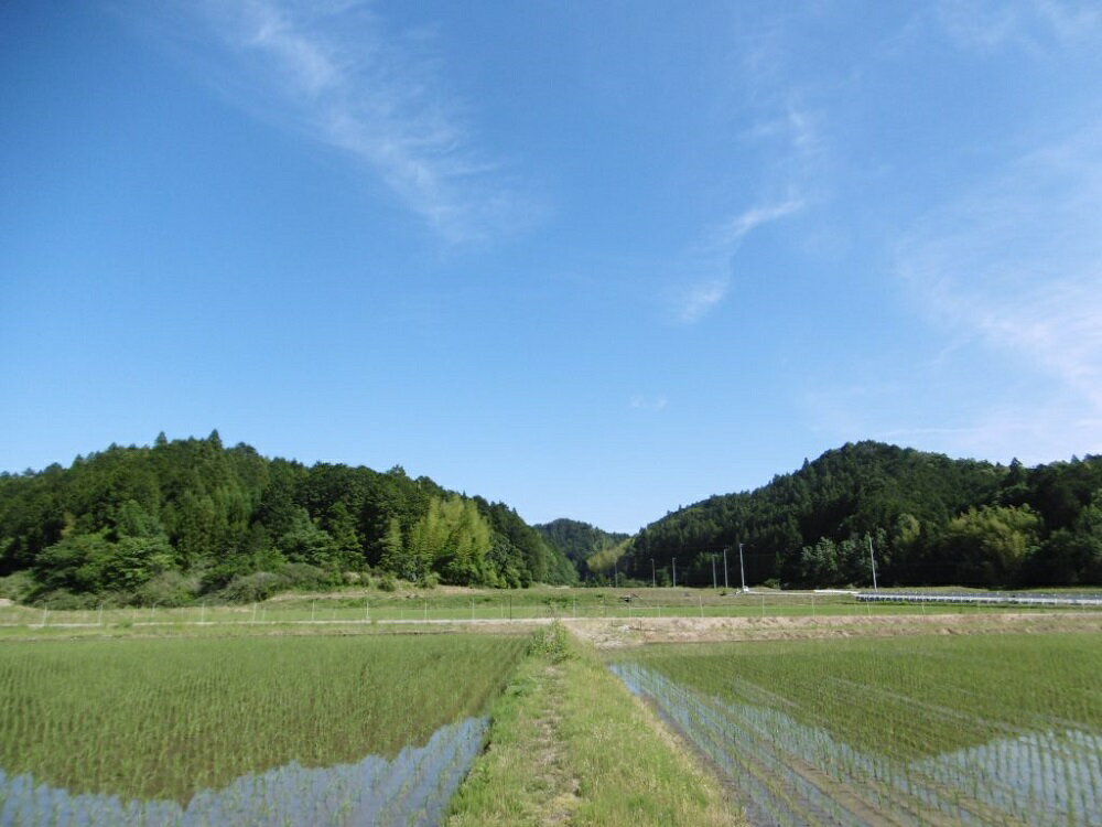 【ふるさと納税】清酒　彦左衛門＆須賀　夫婦の お酒 セット　fs-02 地酒 サムネイル2