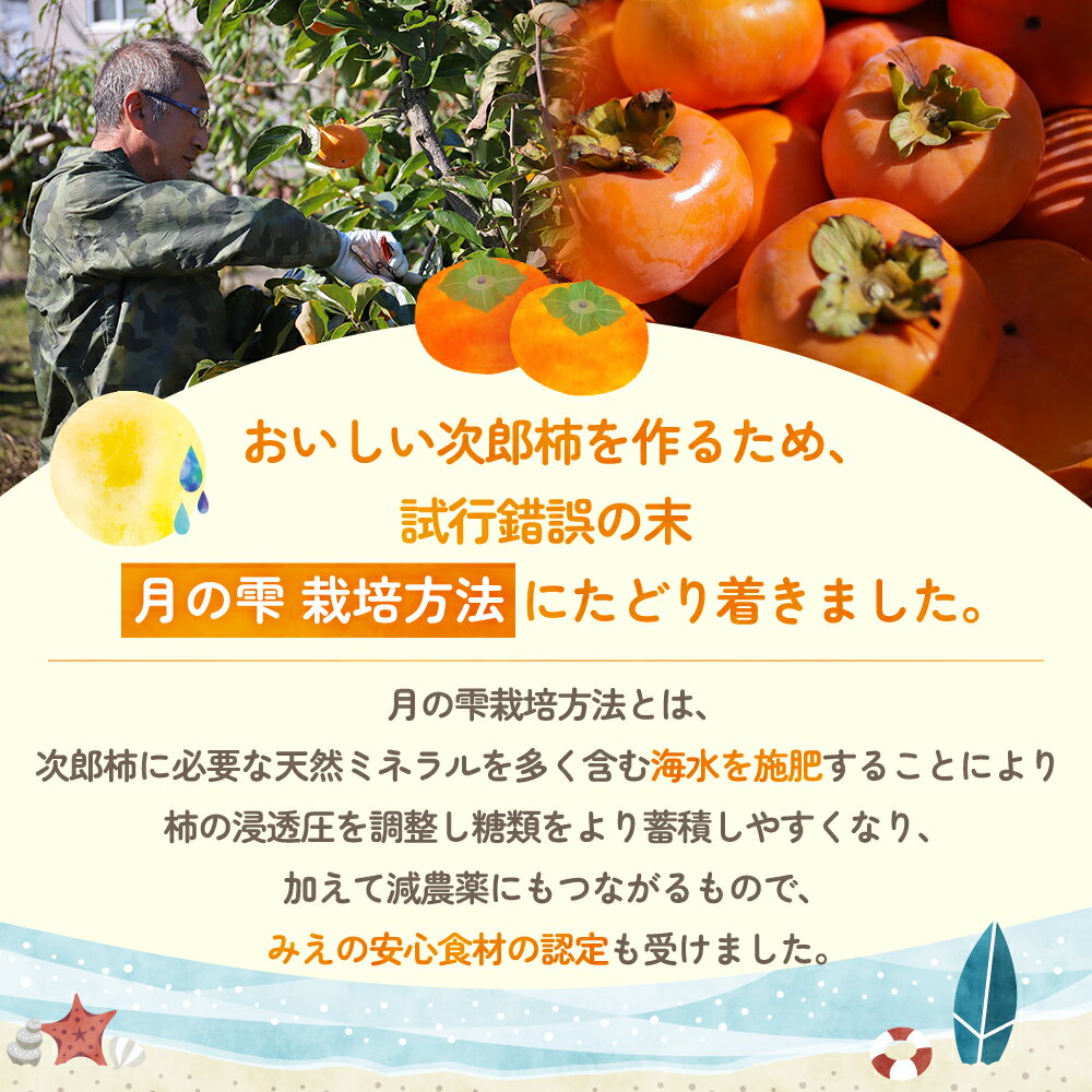 【ふるさと納税】【2025年発送】三重の安心食材認定！中村農園の次郎柿 M・Lサイズ　22個 (約5～6kg)　先行予約 先行 予約 柿 カキ かき 減農薬 安心 贈答 果物 くだもの フルーツ 三重県 多気町 NN-03 サムネイル2