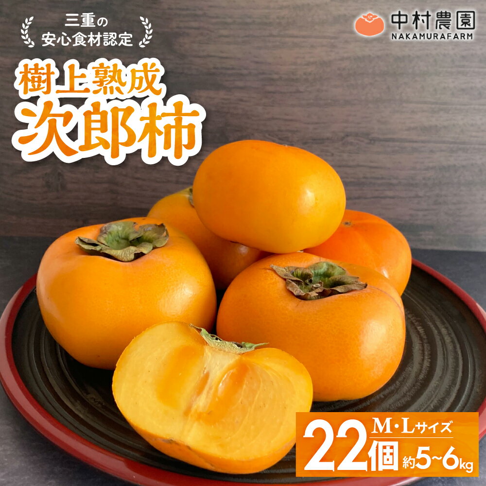 【2025年発送】三重の安心食材認定！中村農園の次郎柿 M・Lサイズ　22個 (約5～6kg)　先行予約 先行 予約 柿 カキ かき 減農薬 安心 贈答 果物 くだもの フルーツ 三重県 多気町 NN-03