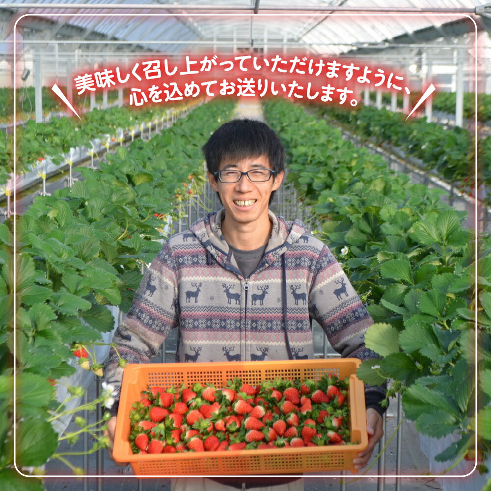【ふるさと納税】多気町産いちご 約170g×4p イチゴ 苺 章姫 かおり野 紅ほっぺ CN-01 サムネイル3