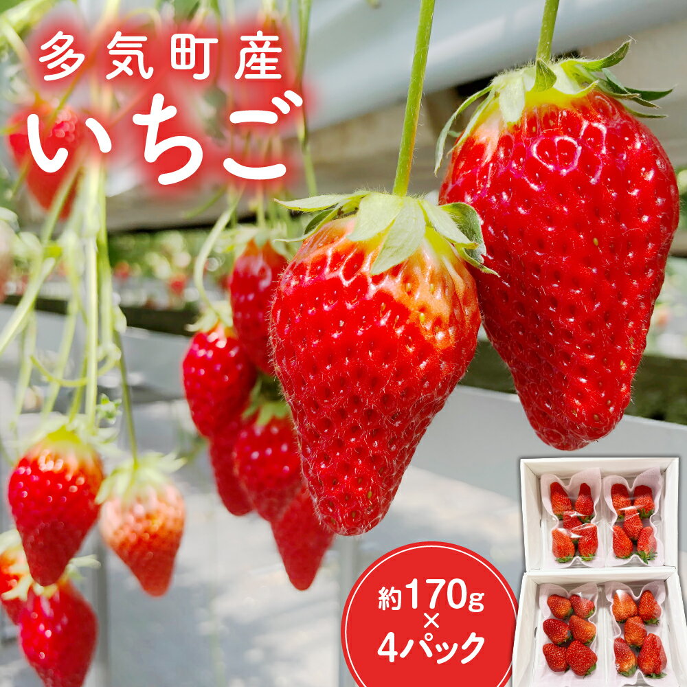 多気町産いちご 約170g×4p イチゴ 苺 章姫 かおり野 紅ほっぺ CN-01