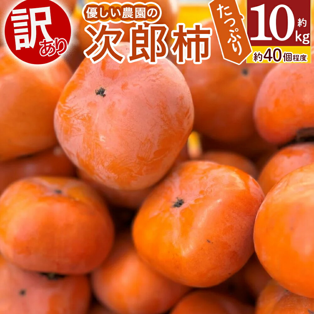 【令和7年産柿/先行予約】優しい農園の訳あり次郎柿 10kg 次郎柿 たねなし 柿 かき フルーツ 家庭用 訳あり 規格外 わけあり 不揃い ふぞろい 種なし 干し柿 先行 先行予約 三重県 多気町 YSN-01