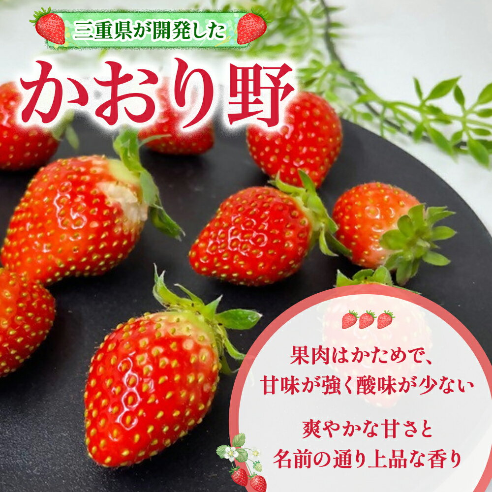 【ふるさと納税】農林水産大臣賞受賞農園からお届けする訳アリかおり野（大粒）/いちご　ISH-01 サムネイル2