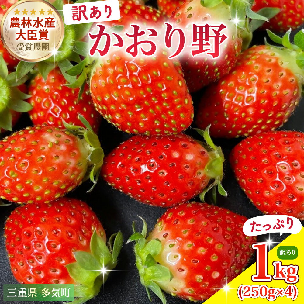 農林水産大臣賞受賞農園からお届けする訳アリかおり野（大粒）/いちご　ISH-01