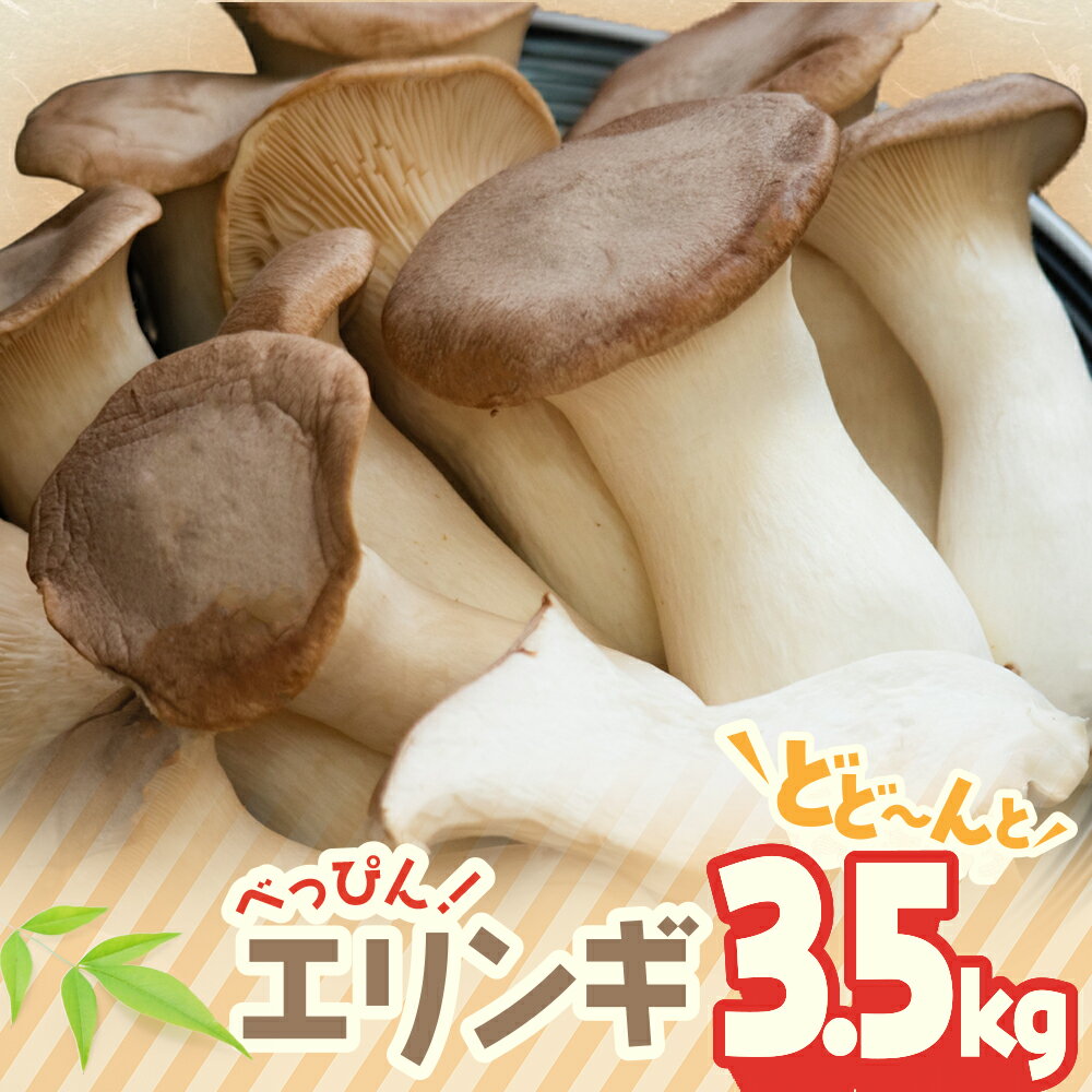 べっぴん エリンギ ！ どどーんと 3.5kg！ | えりんぎ きのこ キノコ 国産 生 tn-01