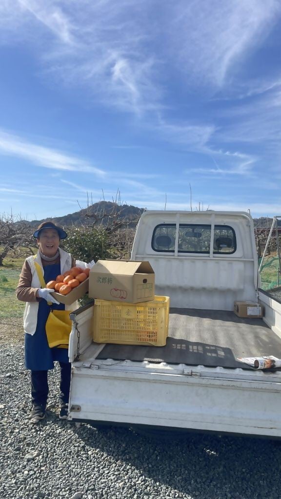 【ふるさと納税】柿づくり40年！きんちゃん農園の多気町産次郎柿 5kg 次郎柿 たねなし 柿 かき フルーツ 干し柿 先行 先行予約 三重県 多気町 KCN-01 サムネイル2