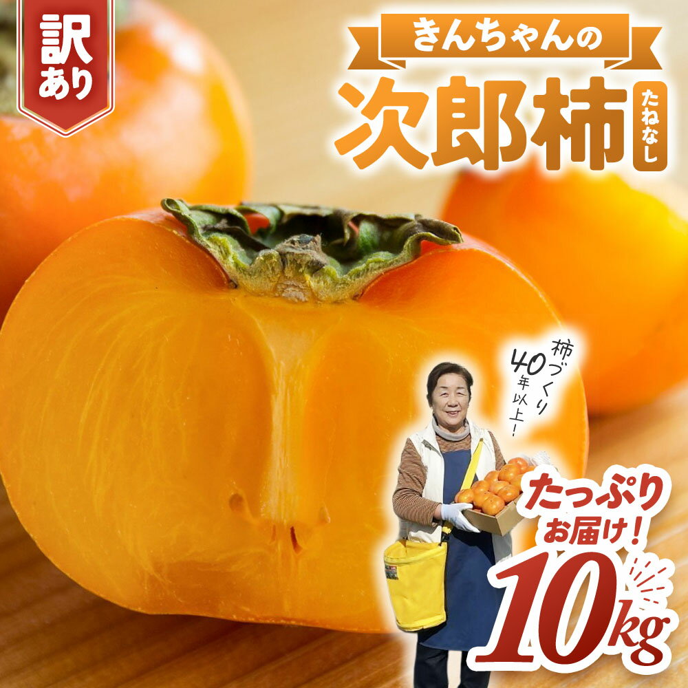 柿づくり40年！きんちゃん農園の訳あり次郎柿 10kg 次郎柿 たねなし 柿 かき フルーツ 家庭用 訳あり 規格外 わけあり 不揃い ふぞろい 種なし 干し柿 先行 先行予約 三重県 多気町 KCN-03