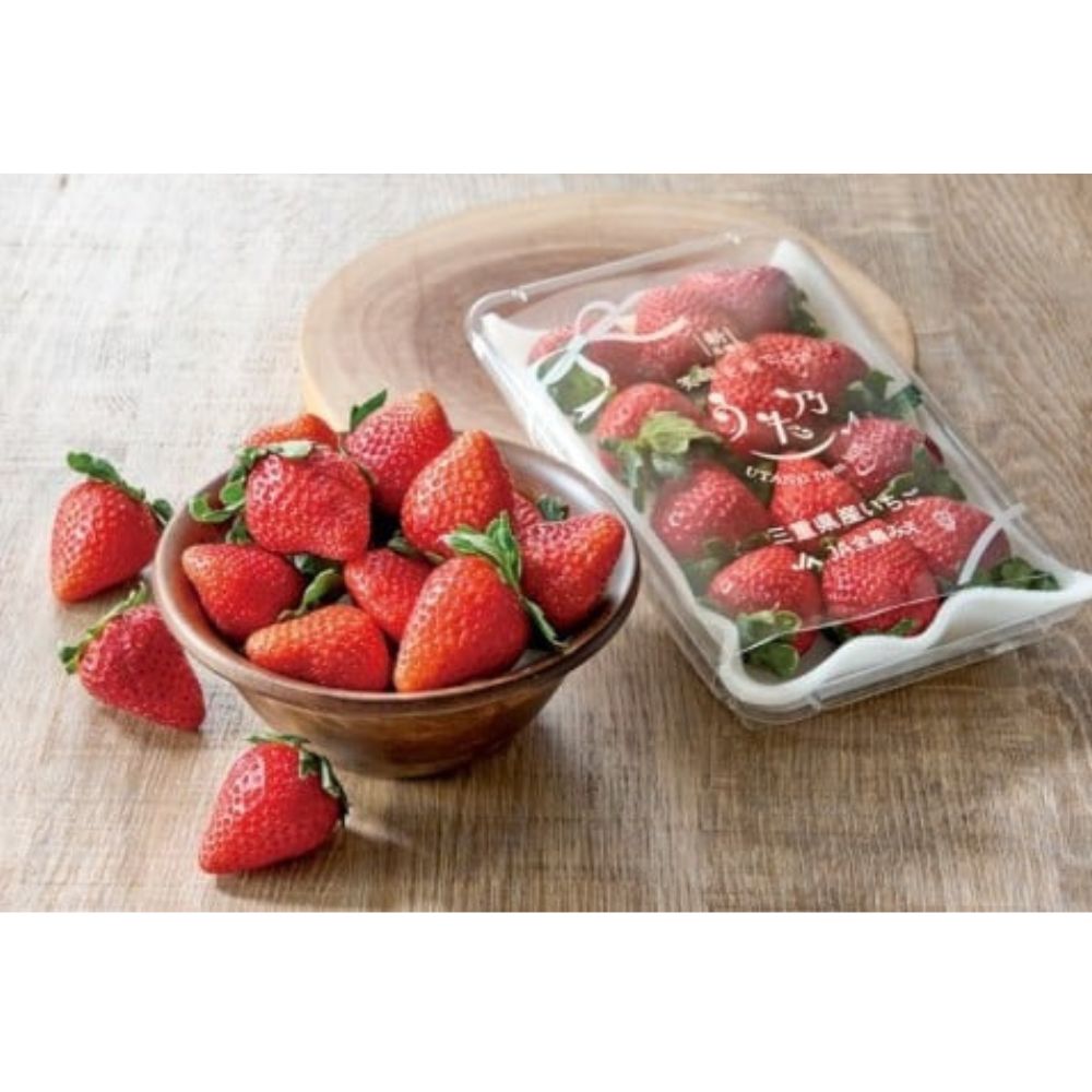 【ふるさと納税】三重県オリジナルいちご新品種 希少な「うた乃」 500g（250g×2） いちご 希少 甘い 三重県 多気町 yms-01 サムネイル3