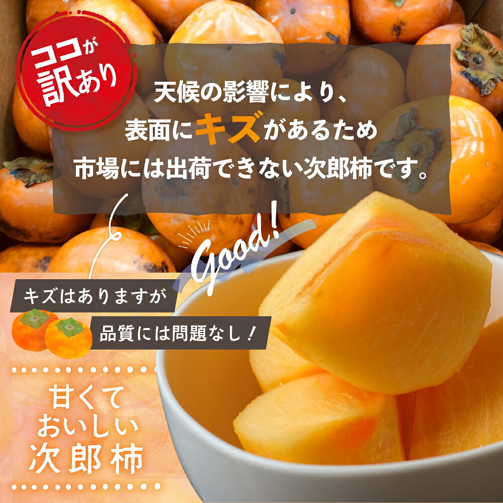 【ふるさと納税】柿づくり40年！きんちゃん農園の訳あり次郎柿 10kg 次郎柿 たねなし 柿 かき フルーツ 家庭用 訳あり 規格外 わけあり 不揃い ふぞろい 種なし 干し柿 先行 先行予約 三重県 多気町 KCN-03 サムネイル2