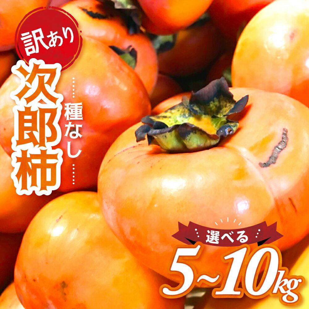 【令和8年産柿/先行予約】《 訳あり 》5〜10kg 次郎柿 たねなし 柿 かき フルーツ 家庭用 訳あり 規格外 わけあり 不揃い ふぞろい 種なし 干し柿 先行 先行予約 三重県 多気町
