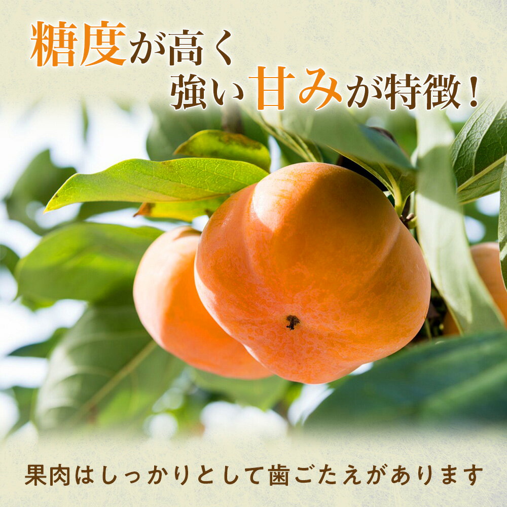 【ふるさと納税】【令和8年産柿/先行予約】 20〜26玉 多気町発祥 前川次郎 完全甘柿 次郎柿 たねなし 柿 かき フルーツ 種なし 干し柿 先行 先行予約 三重県 多気町 JA-02 - 画像2