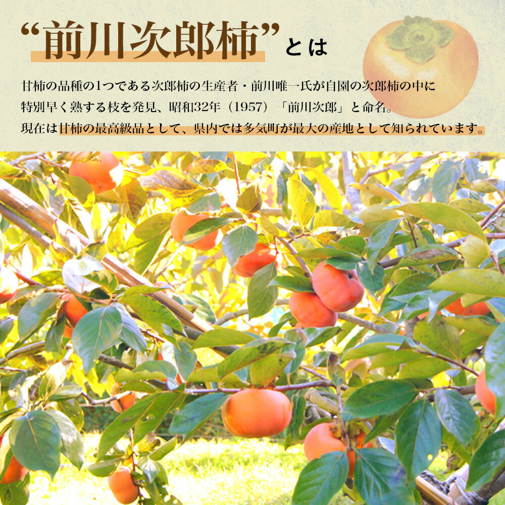 【ふるさと納税】【令和8年産柿/先行予約】 20〜26玉 多気町発祥 前川次郎 完全甘柿 次郎柿 たねなし 柿 かき フルーツ 種なし 干し柿 先行 先行予約 三重県 多気町 JA-02 - 画像3