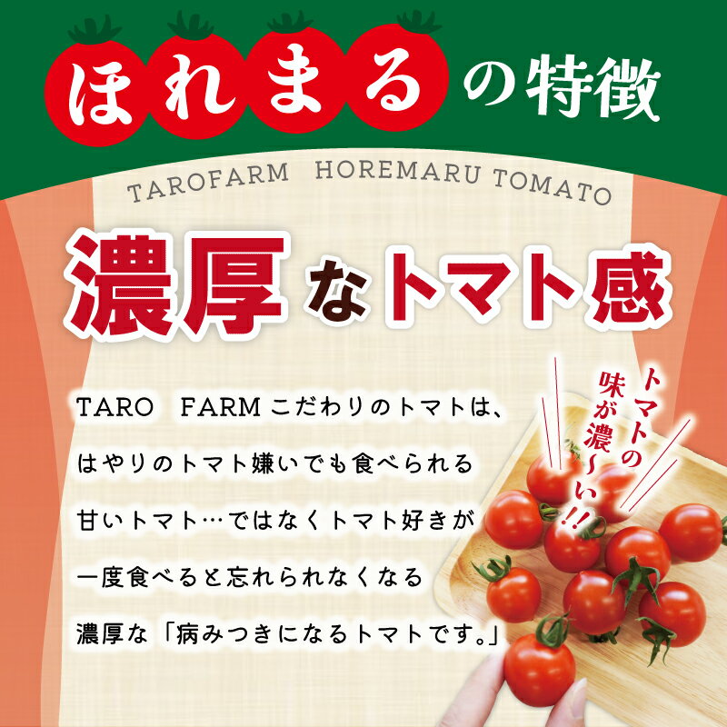 【ふるさと納税】明和町産 完熟 トマト ほれまる 選べる 1kg 3kg ミニトマト 朝採り 新鮮 生鮮 野菜 あっさり - 画像2